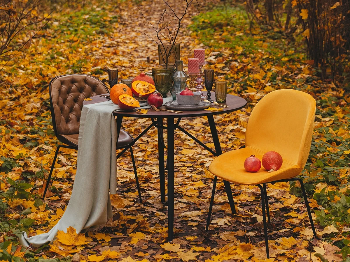 заказать Стул Beetle в интернет-магазине в Москве заказать Стул Beetle в интернет-магазине