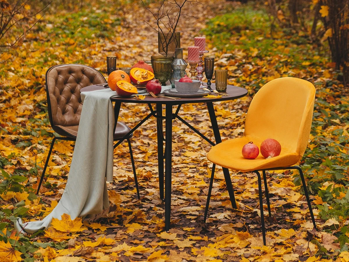 купить Стул Beetle в интернет-магазине в Москве купить Стул Beetle в интернет-магазине