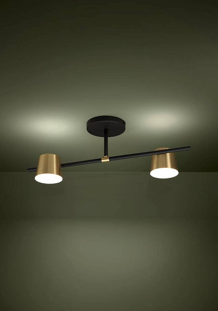 39983 Потолочный светильник ALTAMIRA