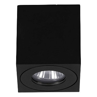 901029 Уличный потолочный светильник TORRECOLA, 1X35W (GU10), IP44, H85, алюминий, пластик, чёрный/прозрачное стекло