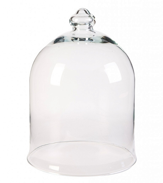 Колпак для цветов Agatha Vase в Екатеринбурге Колпак для цветов Agatha Vase