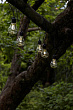 Уличные огоньки LIBISA, LED 10X0,006W, IP44, L4050, B57, H110, пластик, черный полупрозрачный №0