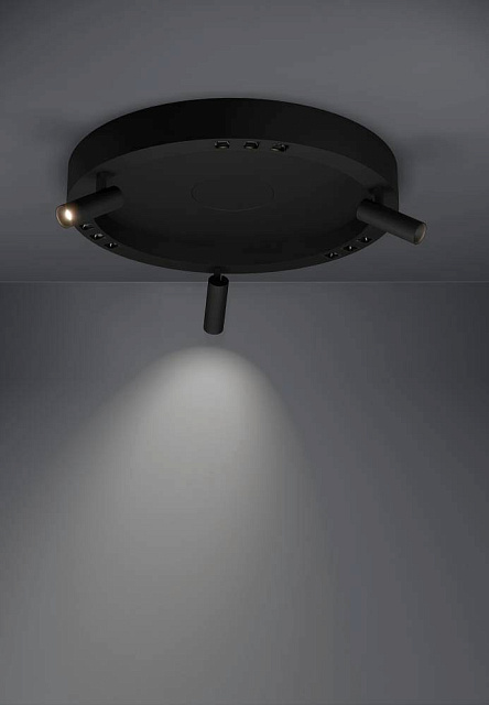 390052 Потолочный светильник BRUSCOLI в Екатеринбурге 390052 Потолочный светильник BRUSCOLI