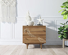 Комод "Boho" 2 ящика с растением арт BH05 №3