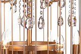 Люстра Birdcage D60 Gold №5