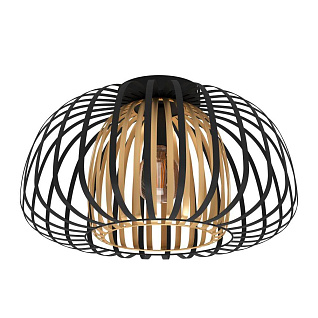 99664 Светильник потолочный ENCINITOS