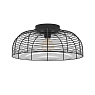 43896 Потолочная люстра RINROE, 1х40W (E27), H200, ?450, сталь, черный