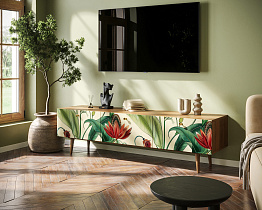 Комод "Berber" с ящиками низкий под TV арт BB19/Print_55