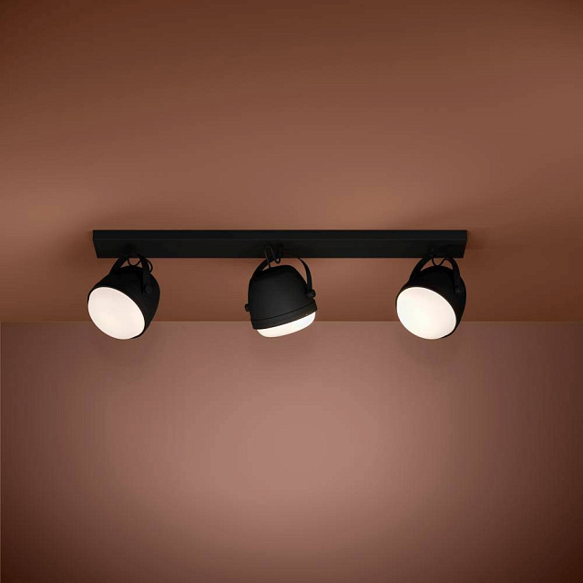 390045 Потолочный светильник UPANEMA в Екатеринбурге 390045 Потолочный светильник UPANEMA