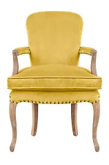 красивое Мягкое полукресло с подлокотниками Anver Oak Yellow