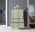 Комод высокий "Бербер (Berber)" принт 24 арт BB10/Print_24 №1
