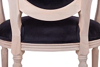купить красивый Мягкий стул с подлокотниками Delo Arm Black Velvet в интернет-магазине
