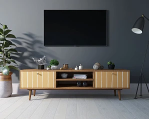 заказать стильные Комод "Berber" с нишей низкий под TV принт 43 арт BB49/Print_43