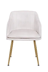 купить стильный Стул Aqua Steel Beige