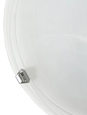 фото 7186 Светильник настенно-потолочный SALOME