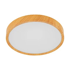 заказать 98601 Светодиодный потолочный светильник MUSURITA в интернет-магазине