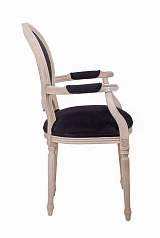 купить красивый Мягкий стул с подлокотниками Delo Arm Black Velvet в интернет-магазине