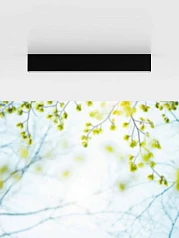 900261 Уличный накладной светильник SALITTA