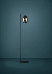 купить стильные 390256 Торшер с ножным выключателем ESTANYS, 1X40 (E27), H1715, сталь, черный/стекло, коричневый полупрозрачный в интернет-магазине
