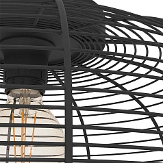 красивые 43896 Потолочная люстра RINROE, 1х40W (E27), H200, ?450, сталь, черный