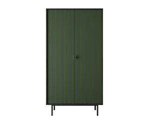 купить Шкаф двухдверный "Emerson" арт EM091/green/L