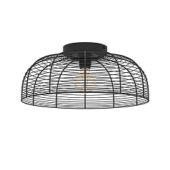 красивые 43896 Потолочная люстра RINROE, 1х40W (E27), H200, ?450, сталь, черный