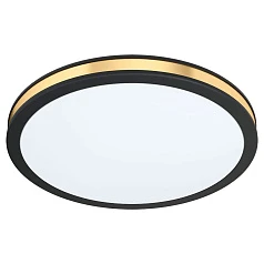 фото 99406 Настенно-потолочный светильник светодиодный PESCAITO