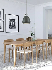 купить 98349 Подвесной потолочный светильник (люстра) BEDNALL