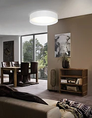 заказать стильные 31588 Светильник потолочный светодиодный PASTERI