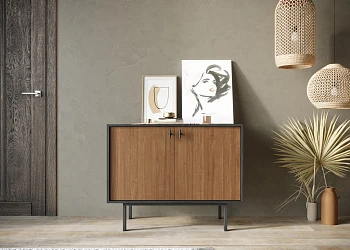 Комод с двумя дверками 