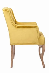 стильное Классическое кресло Deron Gold
